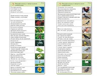 Комплект карточек (10) "Обучающий калейдоскоп. Природа" - fgospostavki.ru - Сочи