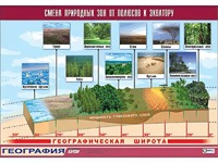 Таблица демонстрационная "Смена природных зон от полюсов к экватору" (винил 70*100) - fgospostavki.ru - Сочи
