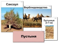 Модель-аппликация "Природные зоны России" (ламинированная) - fgospostavki.ru - Сочи