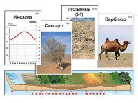 Модель-аппликация "Природные зоны" - fgospostavki.ru - Сочи