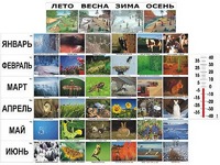 Фенологические наблюдения - fgospostavki.ru - Сочи