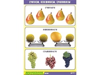 Таблица демонстрационная "Считаем, взвешиваем, сравниваем" (винил 70x100) - fgospostavki.ru - Сочи