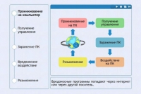 Интерактивные курсы. Информатика 10 класс . Базовый. - fgospostavki.ru - Сочи
