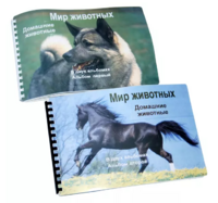 Пособие для слабовидящих - Домашние животные - fgospostavki.ru - Сочи