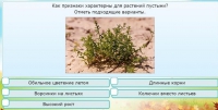 Интерактивные курсы. Окружающий мир 3 класс . Базовый. - fgospostavki.ru - Сочи