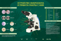 Электрифицированный стенд "Устройство микроскопа и правила работы c ним" - fgospostavki.ru - Сочи