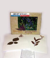 Гербарий "Дикорастущие растения" (28 видов) - fgospostavki.ru - Сочи