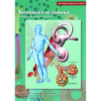 Интерактивные плакаты. Биология человека. Программно-методический комплекс - fgospostavki.ru - Сочи