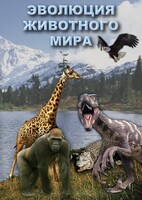 DVD "Эволюция животного мира" - fgospostavki.ru - Сочи
