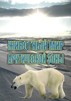 DVD "Животный мир Арктической зоны" - fgospostavki.ru - Сочи