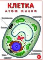 DVD "Клетка - "атом жизни" - fgospostavki.ru - Сочи