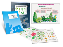 Комплект кодотранспарантов "Культурные растения" - fgospostavki.ru - Сочи