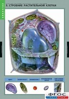 Комплект таблиц. Биология. Вещества растений. Клеточное строение. - fgospostavki.ru - Сочи