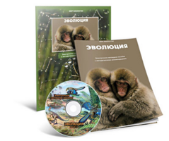 Электронное наглядное пособие «Эволюция» - fgospostavki.ru - Сочи