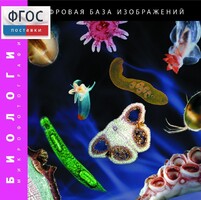 Биология. Микрофотографии. (Цифровая база изображений) - fgospostavki.ru - Сочи