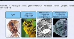 Интерактивные курсы. Биология 5 класс. Расширенный - fgospostavki.ru - Сочи