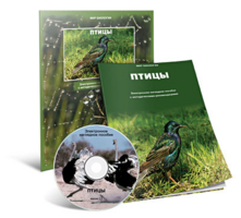 Электронное наглядное пособие «Птицы» - fgospostavki.ru - Сочи