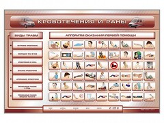 Трехсекционный базовый комплект "Травмы. Кровотечения. Ожоги" для учащихся общеобразовательных учреждений - fgospostavki.ru - Сочи