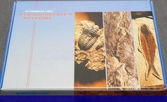 Коллекция "Палеонтологическая" (16 образцов) - fgospostavki.ru - Сочи