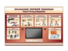 Многофункциональный интерактивный стенд-тренажер "Оказание первой помощи пострадавшим" для учащихся общеобразовательных учреждений - fgospostavki.ru - Сочи