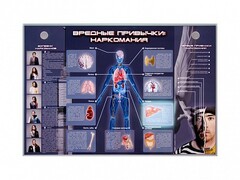 Электрифицированный стенд "Вредные привычки: наркомания" - fgospostavki.ru - Сочи