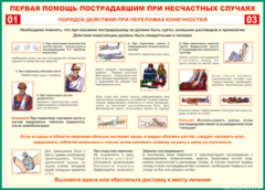 Таблица "Порядок действий при переломах конечностей" (100х140 сантиметров, винил) - fgospostavki.ru - Сочи