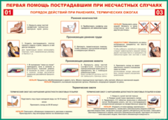 Таблица "Порядок действий при ранениях и термических ожогах" (100х140 сантиметров, винил) - fgospostavki.ru - Сочи
