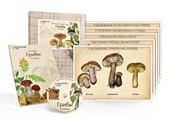 Комбинированное наглядное пособие  «Грибы» - fgospostavki.ru - Сочи
