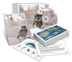 Комбинированное наглядное пособие «Животные» - fgospostavki.ru - Сочи