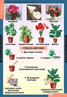 Комплект таблиц. Окружающий мир 1 класс. - fgospostavki.ru - Сочи
