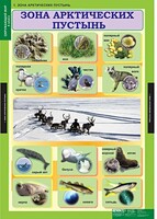 Комплект таблиц. Окружающий мир 4 класс. - fgospostavki.ru - Сочи