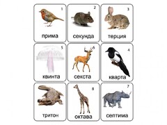 Набор магнитных карточек по музыке "Животные" (9 штук) - fgospostavki.ru - Сочи