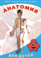 DVD "Анатомия для детей" - fgospostavki.ru - Сочи