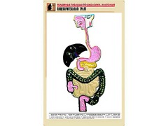 Рельефная таблица "Пищеварительный тракт" (формат А1, матовое ламинирование) - fgospostavki.ru - Сочи