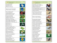 Комплект карточек (10) "Обучающий калейдоскоп. Природа" - fgospostavki.ru - Сочи