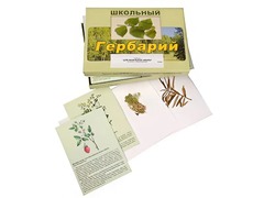 Гербарий "Для начальной школы" (30 видов, с иллюстрациями) - fgospostavki.ru - Сочи