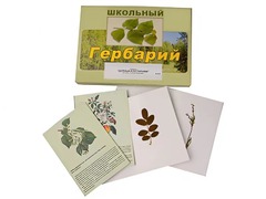 Гербарий "Деревья и кустарники" (22 вида, с иллюстрациями) - fgospostavki.ru - Сочи