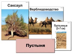 Модель-аппликация "Природные зоны России" (ламинированная) - fgospostavki.ru - Сочи