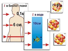Модель-аппликация "Явление радиоактивности" (ламинированная) - fgospostavki.ru - Сочи