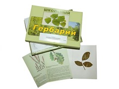 Гербарий "Дикорастущие растения" (30 видов, с иллюстрациями) - fgospostavki.ru - Сочи