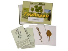 Гербарий "Лекарственные растения" (22 вида с иллюстрациями) - fgospostavki.ru - Сочи