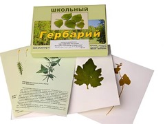 Гербарий "Систематика растений. Высшие споровые и семенные" (раздаточный) - fgospostavki.ru - Сочи