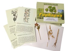 Гербарий "Систематика растений. Семейство Бобовые. Злаки" (раздаточный) - fgospostavki.ru - Сочи