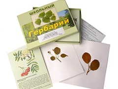 Гербарий "Систематика растений. Семейство Розоцветные" (раздаточный) - fgospostavki.ru - Сочи