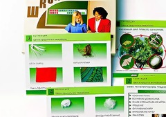 Коллекция "Шелк и продукты его переработки" (средняя школа) - fgospostavki.ru - Сочи
