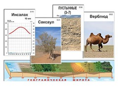 Модель-аппликация "Природные зоны" - fgospostavki.ru - Сочи