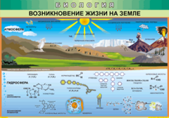 Таблица "Возникновение жизни на земле" (100х140 сантиметров, винил) - fgospostavki.ru - Сочи