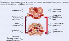 Интерактивные курсы. Биология 9 класс. Расширенный. - fgospostavki.ru - Сочи