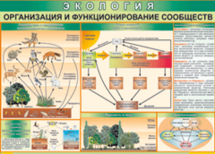 Таблица "Организация и функционирование сообществ" (100х140 сантиметров, винил) - fgospostavki.ru - Сочи