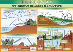Таблица "Круговорот веществ в биосфере" (100х140 сантиметров, винил) - fgospostavki.ru - Сочи